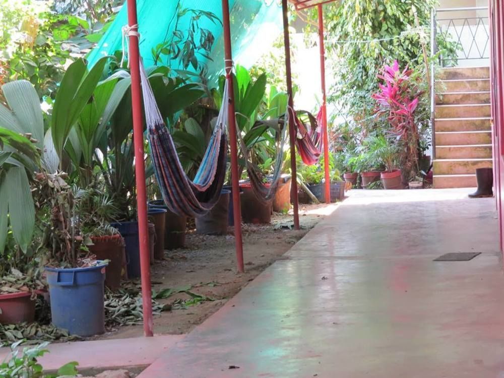 Tambopata Hostel Bambu Puerto Maldonado Exterior foto